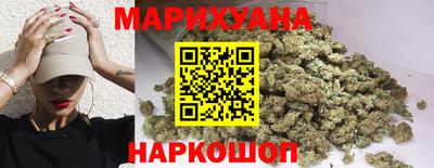 сатива Малгобек