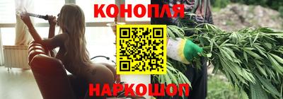сатива Малгобек