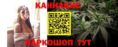 сатива Малгобек