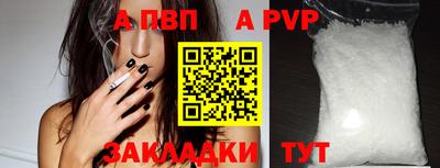 сатива Малгобек