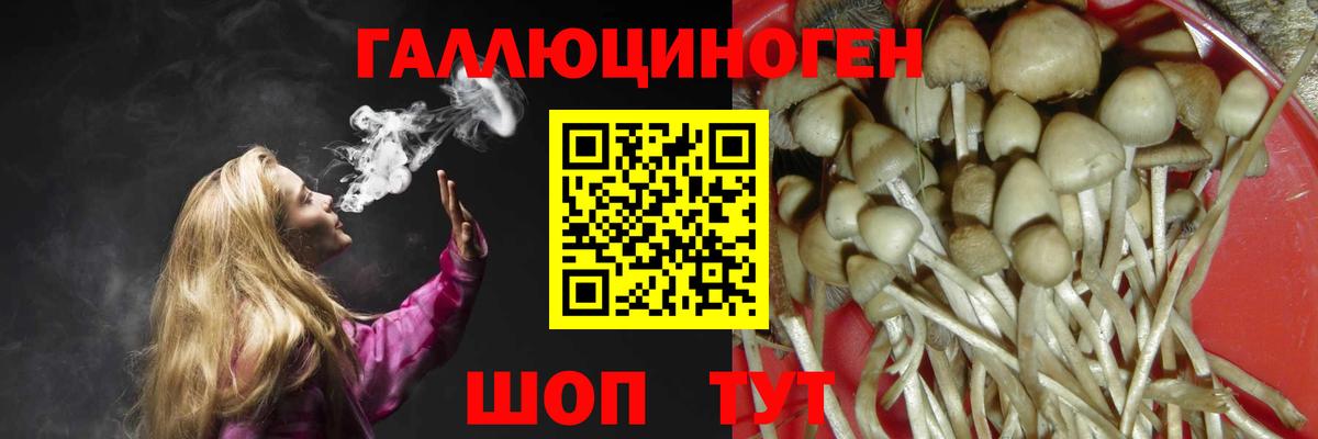 Галлюциногенные грибы GOLDEN TEACHER Усть-Илимск